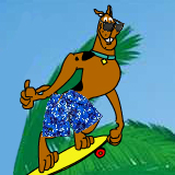 Skater On The Beach