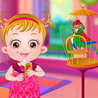 Baby Hazel Parrot Care