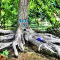 The Magic Forest Escape