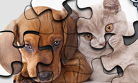 Cat vs Dog Puzzle