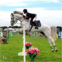 Horse Show Jumping