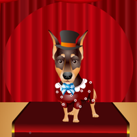 The Cutest Puppy Competition