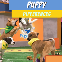 Puppy Differences