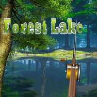 Forest Lake Fishing