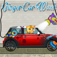 Ginger Car Wash