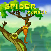 Spider Monkey