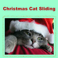 Christmas Cat Sliding
