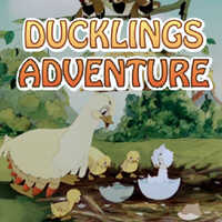 Ducklings Adventure