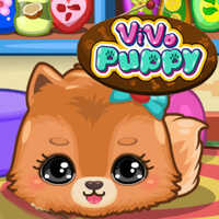Vivo Puppy