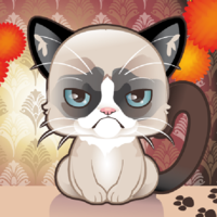 Grumpy Kitty