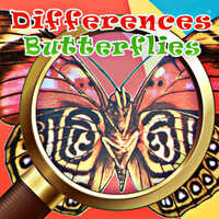 Differences Butterflies