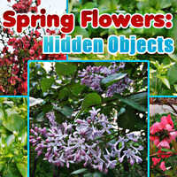 Spring Flowers Hidden Objects