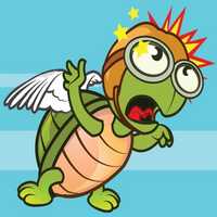 Flying Turtle
