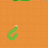 The Fruit Snake