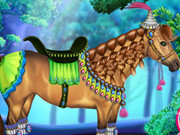 Horse Hair Salon