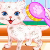 Puppy And Kitty Salon