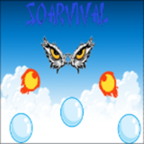 Soarvivall